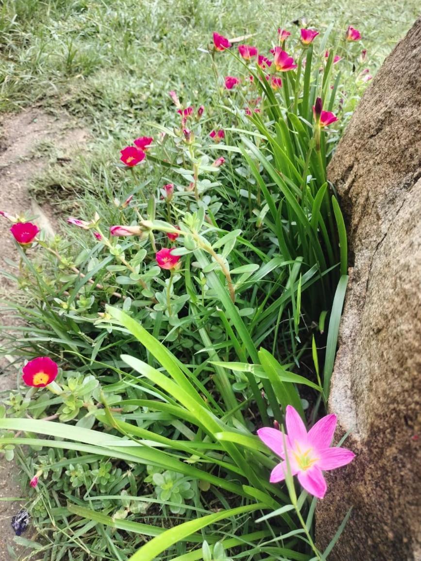 فندق Hidden Place In هامبي المظهر الخارجي الصورة