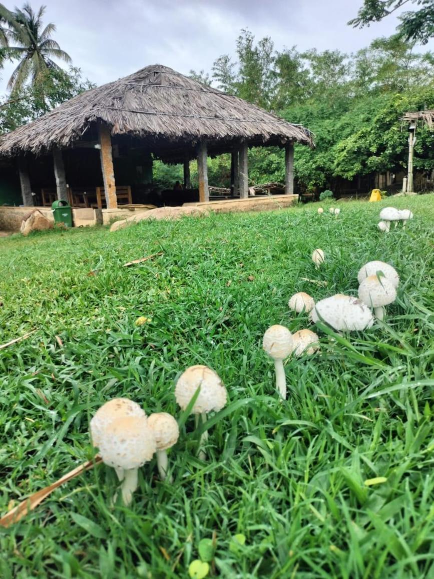 فندق Hidden Place In هامبي المظهر الخارجي الصورة